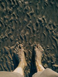 Scenic view of beach