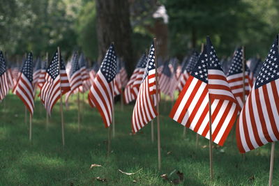 Panoramic view of flags on field