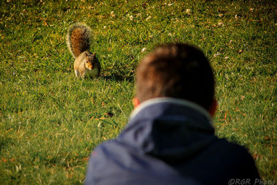 Rear view of man on field