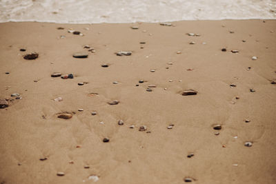 Close-up of footprints on sand at beach