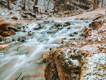 Scenic view of waterfall in forest