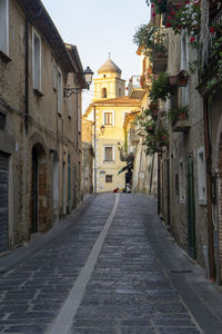 Footpath amidst buildings in city