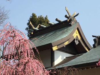 Low angle view of house against sky