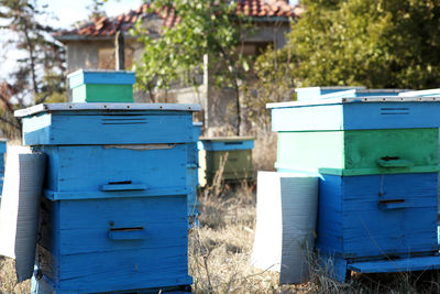 Painted wooden beehives with active honey bees