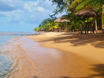 Scenic view of beach against sky