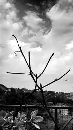 Barbed wire against cloudy sky