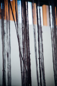 Close-up of icicles on snow