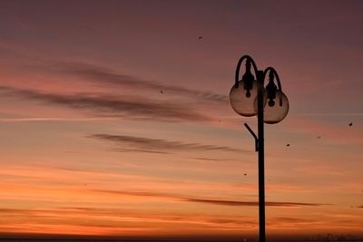 Silhouette bird flying against orange sky