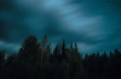 Low angle view of trees in forest against sky