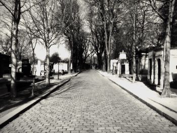 Road passing through bare trees