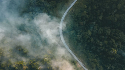 Road through the green rainforest. aerial top view forest on misty fog morning.