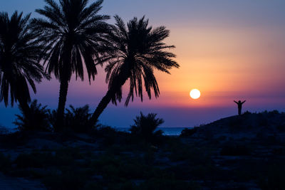 Silhouette palm trees against sky during sunset