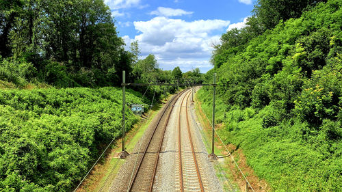 Railroad tracks amidst trees against sky