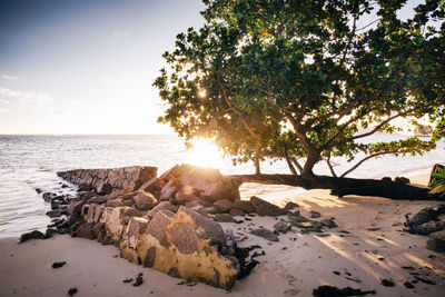 Scenic view of sea against sky at sunset