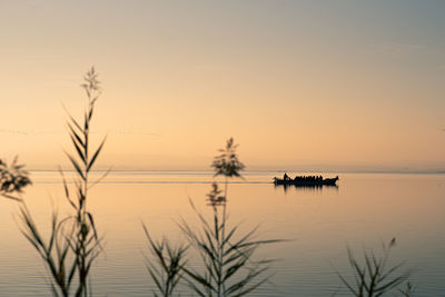 Boat in valencia's albufera at sunset against the light