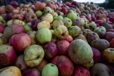 Full frame shot of apples