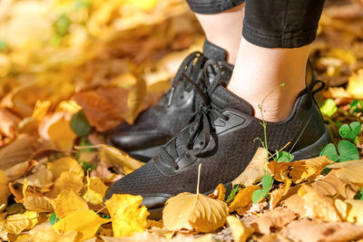 Low section of woman standing amidst dry leaves