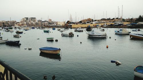 Sailboats moored at harbor against clear sky