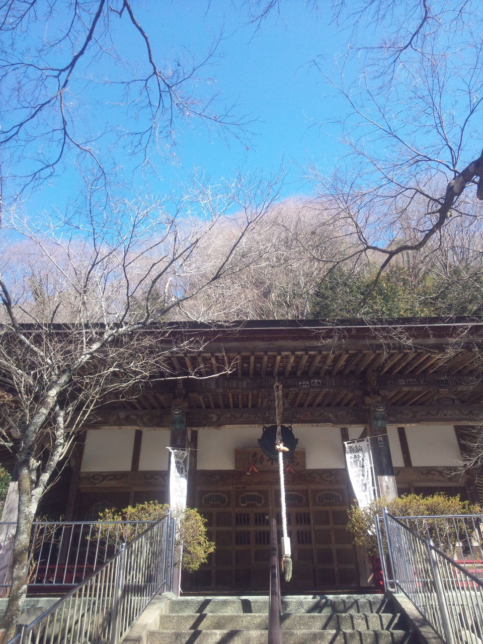 architecture, built structure, building exterior, house, tree, residential structure, bare tree, roof, residential building, sky, sunlight, clear sky, day, low angle view, railing, branch, outdoors, blue, window, no people