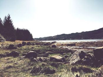 Scenic view of landscape against clear sky