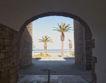 Palm trees seen through archway of building