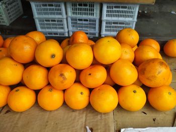 Orange fruits for sale in market