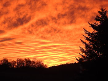 Silhouette trees in forest against orange sky