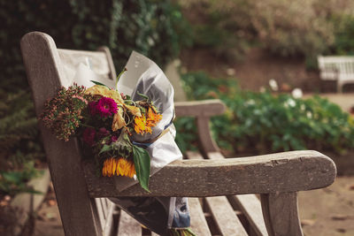 Close-up of potted plant on bench in park