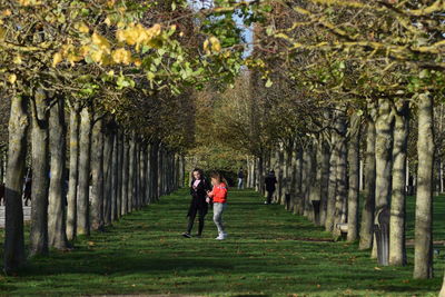 Female friends using mobile phone on field amidst trees