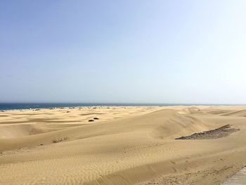 Scenic view of beach against clear sky