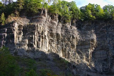 Panoramic view of trees on cliff against sky