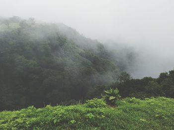 Scenic view of landscape against sky during foggy weather