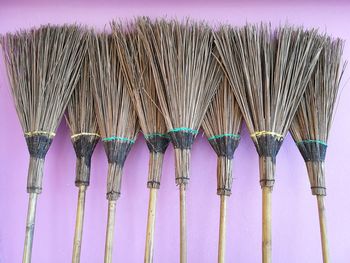 Close-up of brooms on purple wall