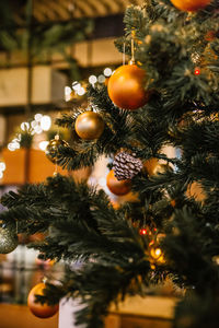 Close-up of christmas decoration hanging on tree