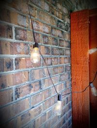 Low angle view of bird perching on illuminated brick wall