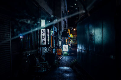 Illuminated underground walkway