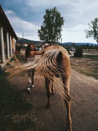 View of a horse on field