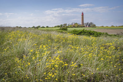 Plants growing on field by lighthouse against sky