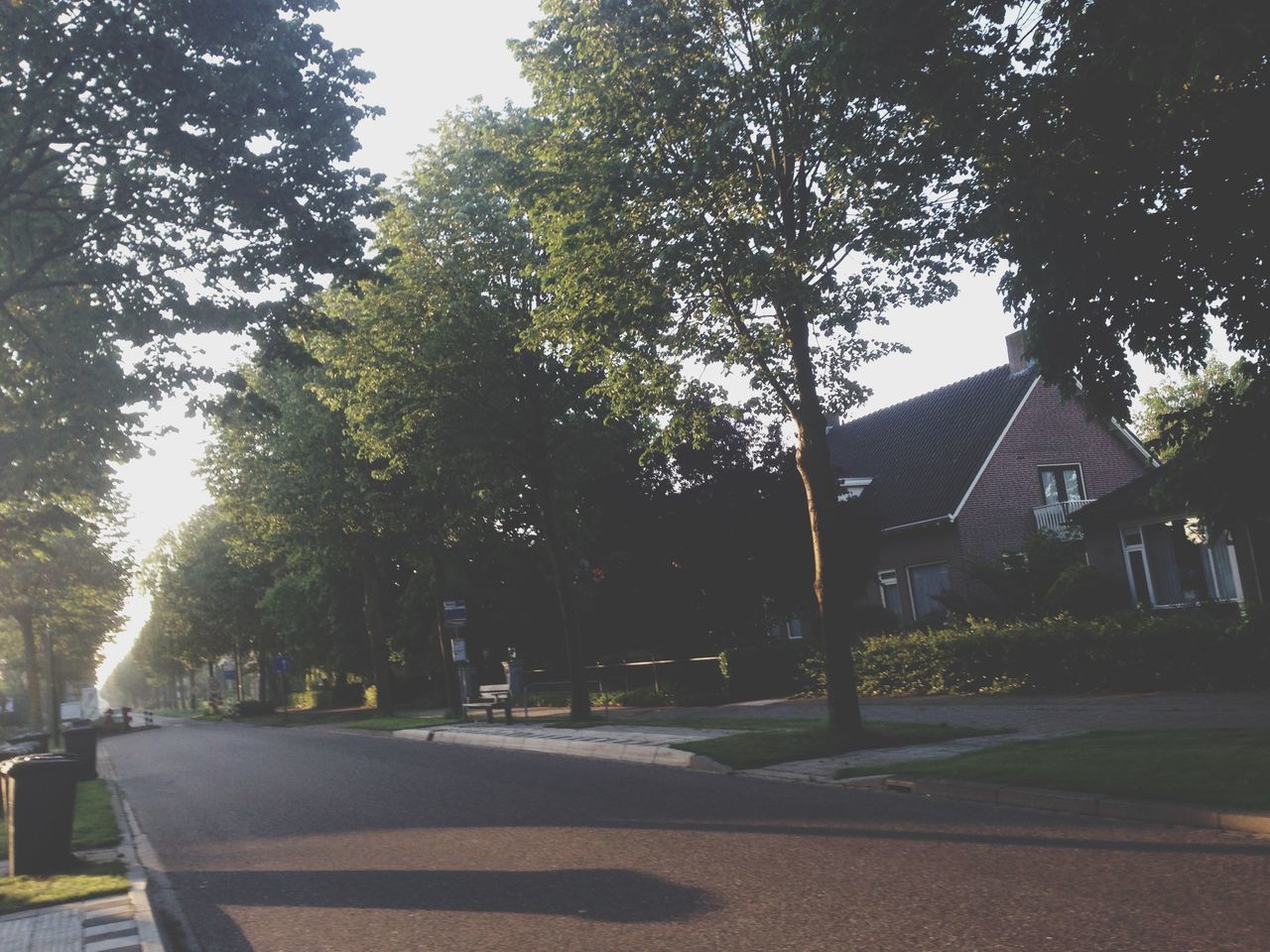 building exterior, architecture, built structure, tree, street, road, transportation, the way forward, city, car, sunlight, sky, building, road marking, day, shadow, residential structure, outdoors, house, residential building