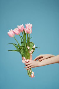 Close-up of hand holding bouquet against blue background