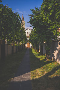 Walkway along trees in park