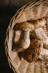 Close-up of mushrooms in basket