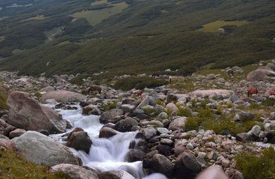 Aerial view of stream flowing through rocks