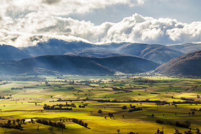 Scenic view of agricultural field against sky