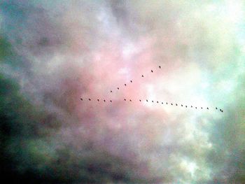 Low angle view of bird flying in sky