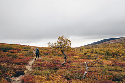 Rear view of man standing on mountain against sky