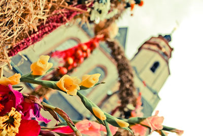 Low angle view of flowers blooming against sky