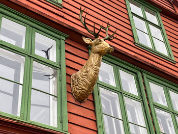 Low angle view of a bird against building