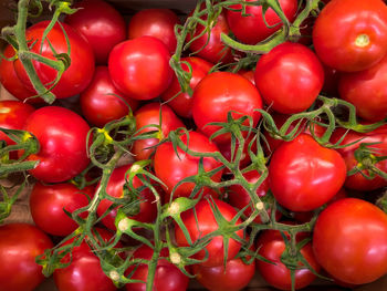 Full frame shot of tomatoes