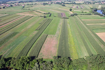 Aerial view of agricultural field